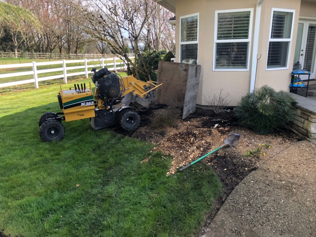 Stump grinding services in Cowlitz County, Washington